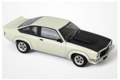 DDA 1/24 Holden Torana 308 A9X Factory  image