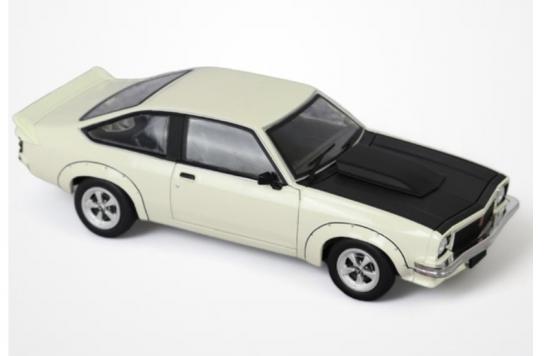 DDA 1/24 Holden Torana 308 A9X Factory  image